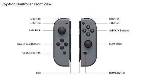 Nintendo Switch Joycon Controller