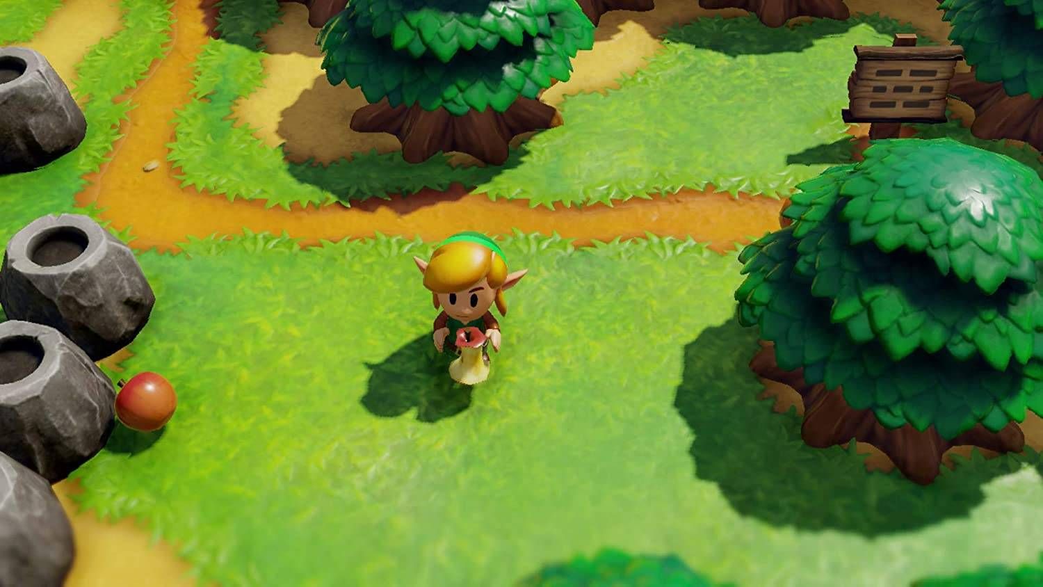 The Legend of Zelda Link's Awakening