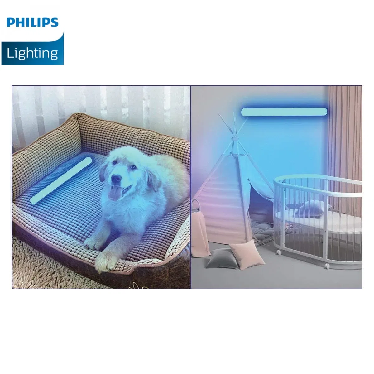 Philips LED Sanitization USB Luminaire 5W Violet 5V - Effective and Safe sanitization for your home