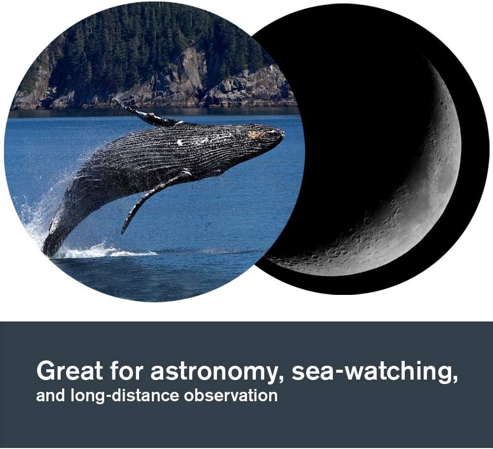 Celestron – SkyMaster Binocular – Outdoor and Astronomy Binocular – Large Aperture for Long Distance Viewing – Multi-coated Optics – Carrying Case Included – Ultra Sharp Focus