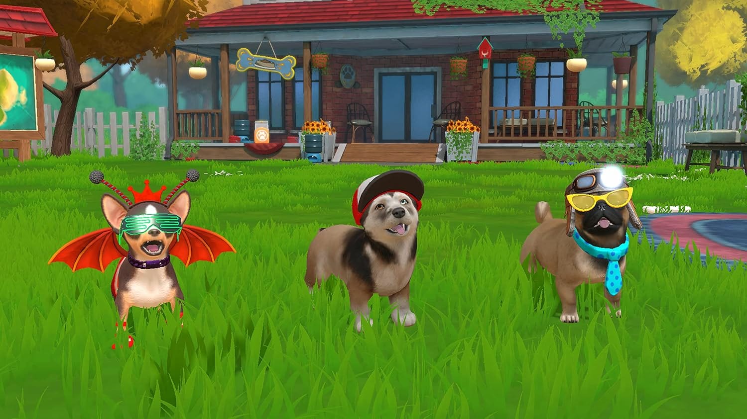 Little Friends - Puppy Island - Nintendo Switch Game - Simulation and Animal Care