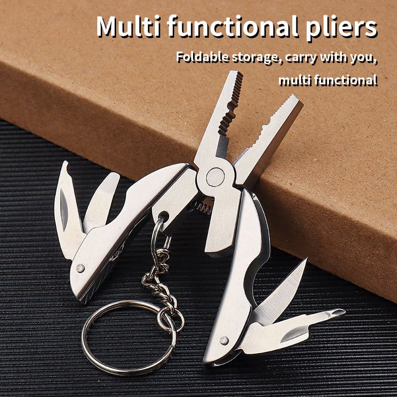 Mini Multitool Keychain Set - Multifunctional All In One Pocket Tool - 6-in-1, Plier, Wire Strippers, Phillips Screwdriver, Knife, File & Flat, With Carry case