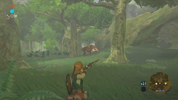 The Legend of Zelda: Breath of the Wild (BOTW) - Nintendo Switch