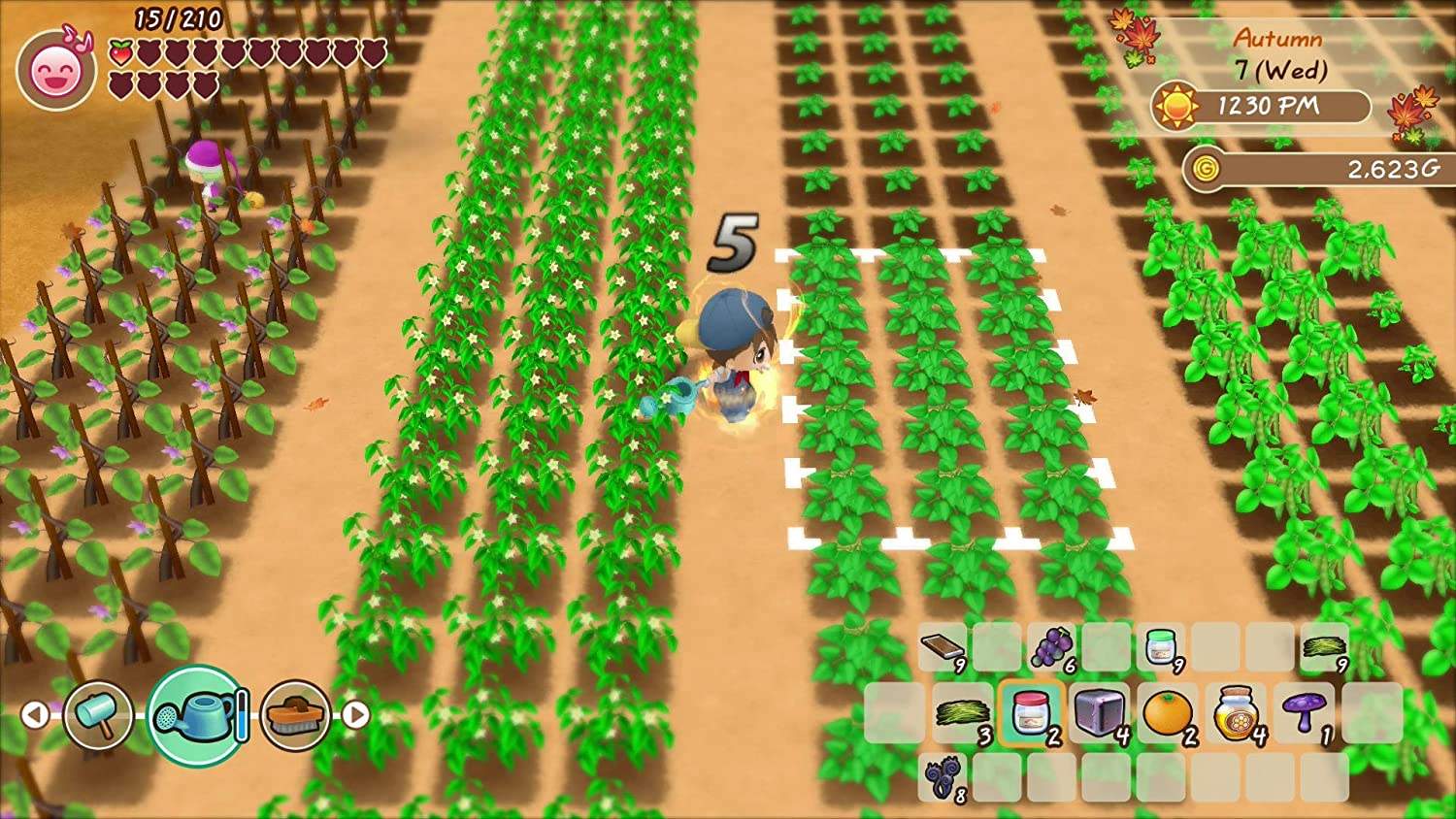 Story of Seasons: Friends of Mineral Town - Nintendo Switch